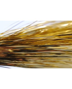 FLASHABOU GOLD